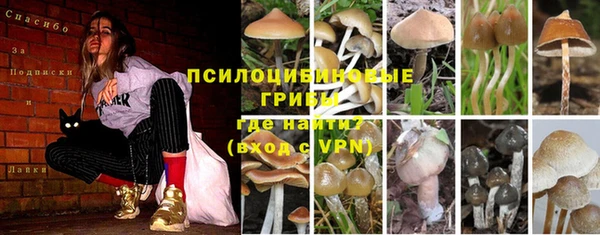 гашик Алзамай